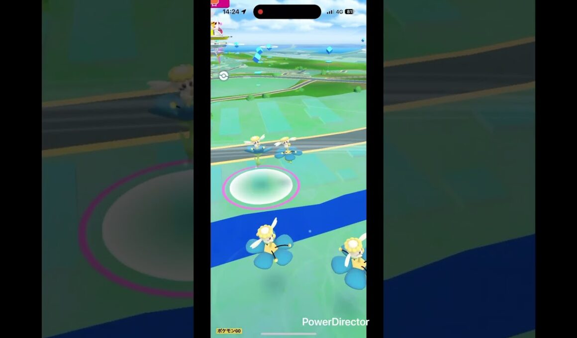 色違いフラベベ #pokemongo #pokemon #ポケgo #shinypokemon #pokémon #shiny #ポケモン #ポケモンgo