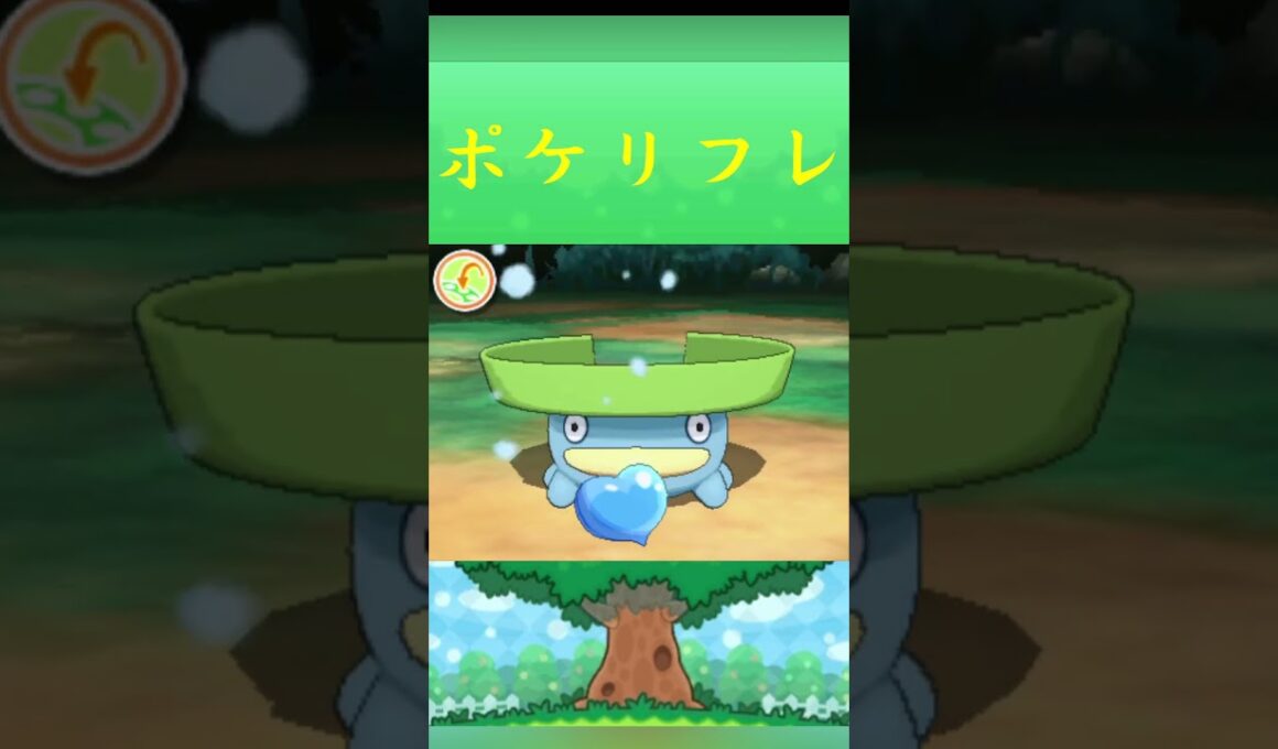ハスボー*ポケモン ポケリフレ ポケパルレ #ポケモン #Pokemon  #3DS #nintendoswitch #ポケモンsv #ポケモン #キャンプ #カレー #サンドイッチ #ピクニック