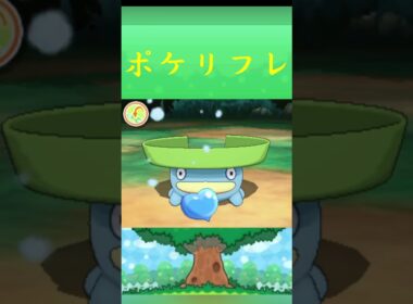 ハスボー*ポケモン ポケリフレ ポケパルレ #ポケモン #Pokemon  #3DS #nintendoswitch #ポケモンsv #ポケモン #キャンプ #カレー #サンドイッチ #ピクニック