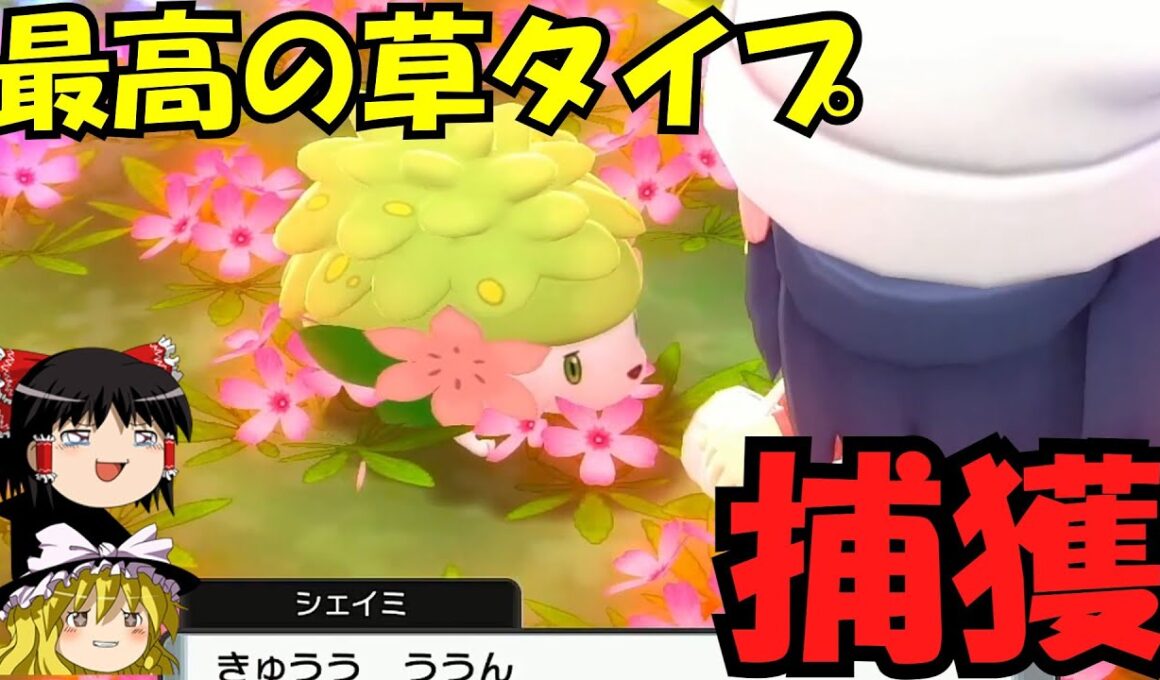 【激かわ】まさに天国！シェイミを捕獲しに行こう！【ゆっくり実況】