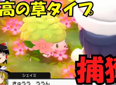 【激かわ】まさに天国！シェイミを捕獲しに行こう！【ゆっくり実況】