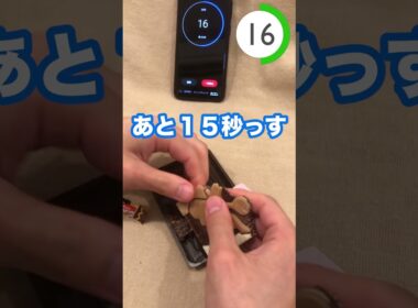【レベル３ハッサム】ポケモンのキャラパキ３０秒チャレンジ！ #shorts