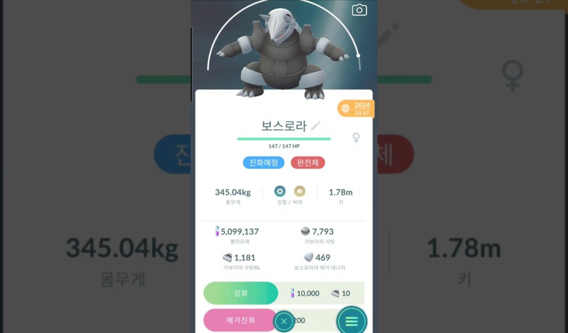 완벽 보스로라 100개체를 XL풀강화 및 메가진화해보자