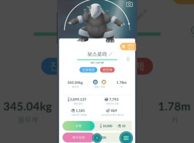 완벽 보스로라 100개체를 XL풀강화 및 메가진화해보자