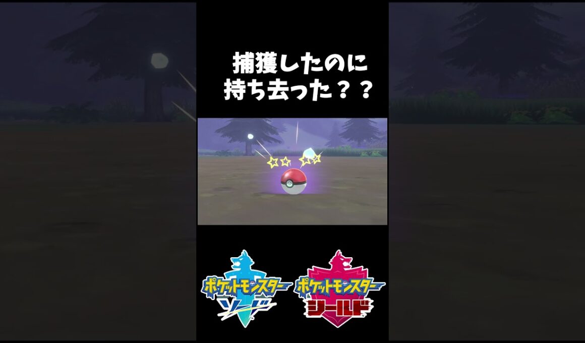 捕獲したのに持ち去ったって何よ;^ω^ #shorts #ポケモン剣盾 #ぼんぐり #ホシガリス #冠の雪原