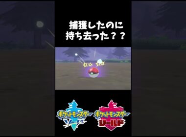 捕獲したのに持ち去ったって何よ;^ω^ #shorts #ポケモン剣盾 #ぼんぐり #ホシガリス #冠の雪原