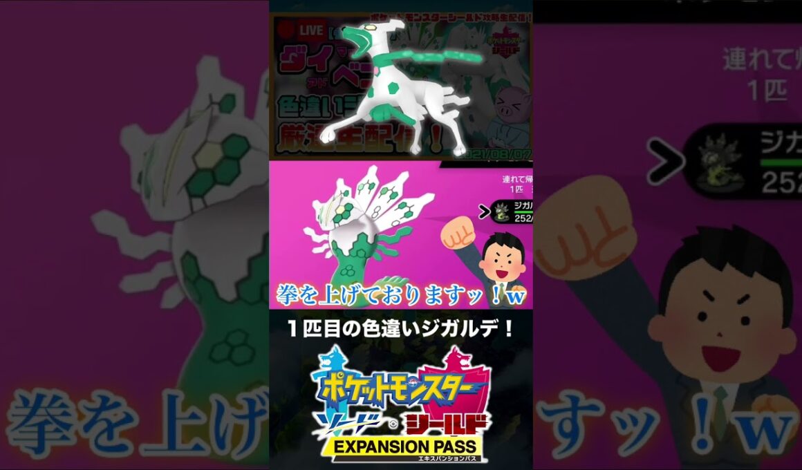 １匹目の色違いジガルデと邂逅した男【ポケモン剣盾】