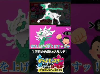 １匹目の色違いジガルデと邂逅した男【ポケモン剣盾】