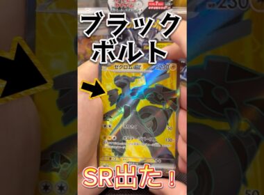 【ポケカ開封】ブラックボルトでゼクロムSR出た時の反応 #ポケカ #ポケモンカード #ポケモン #ポケカ開封 #ブラックボルト#ホワイトフレア #ゼクロム #レシラム #神引き