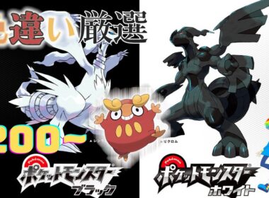 【ポケモンBW】4番道路(Shiny Pokémon)厳選(4200~)