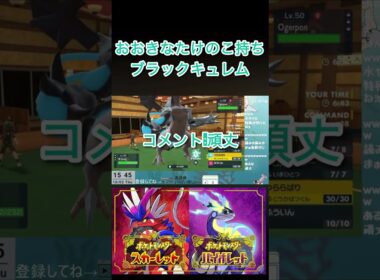 【ポケモンSV】おおきなたけのこ持ちブラックキュレム【ランクマ】