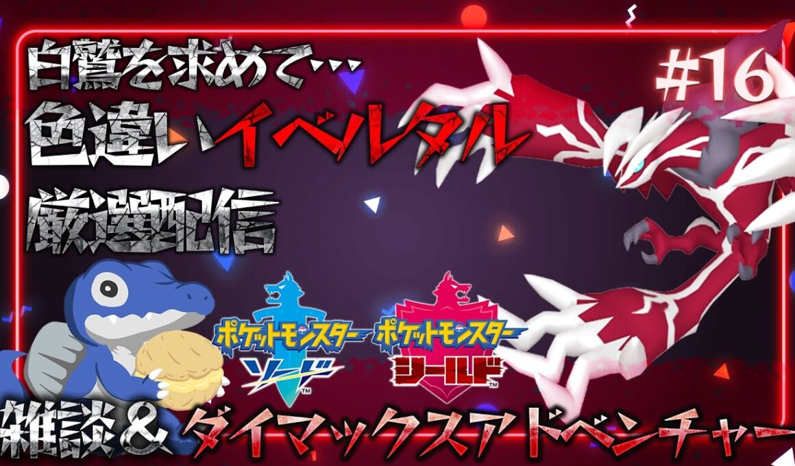 【雑談&色厳選】しごおわ社畜による追い込み厳選！今回は寝る前にサクッと（笑）色違いイベルタル厳選！《ポケモン剣盾》#16