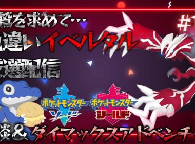 【雑談&色厳選】しごおわ社畜による追い込み厳選！今回は寝る前にサクッと（笑）色違いイベルタル厳選！《ポケモン剣盾》#16