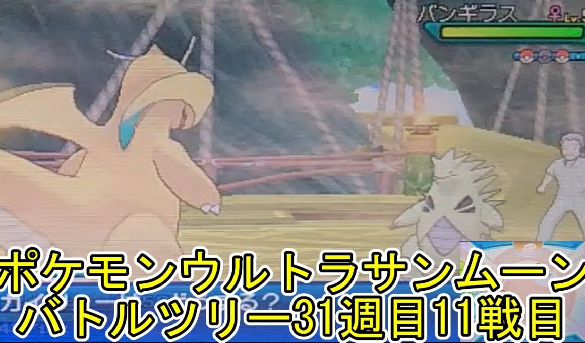 ポケモンウルトラサンムーンバトルツリー31週目11戦目