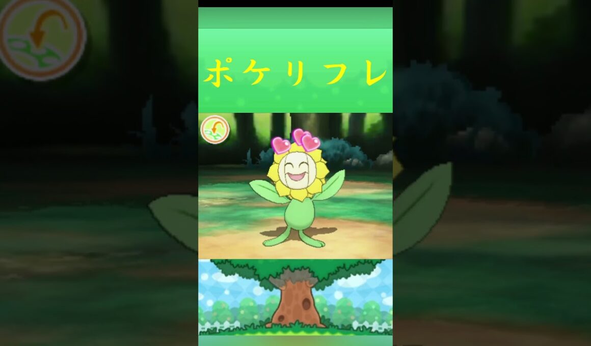 ポケモン キマワリ ポケリフレ ポケパルレ #ポケモン #Pokemon  #3DS #ポケモン技 #ポケモンsv #ポケモン#キャンプ #カレー #サンドイッチ #ピクニック