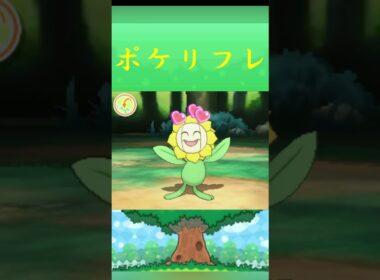 ポケモン キマワリ ポケリフレ ポケパルレ #ポケモン #Pokemon  #3DS #ポケモン技 #ポケモンsv #ポケモン#キャンプ #カレー #サンドイッチ #ピクニック