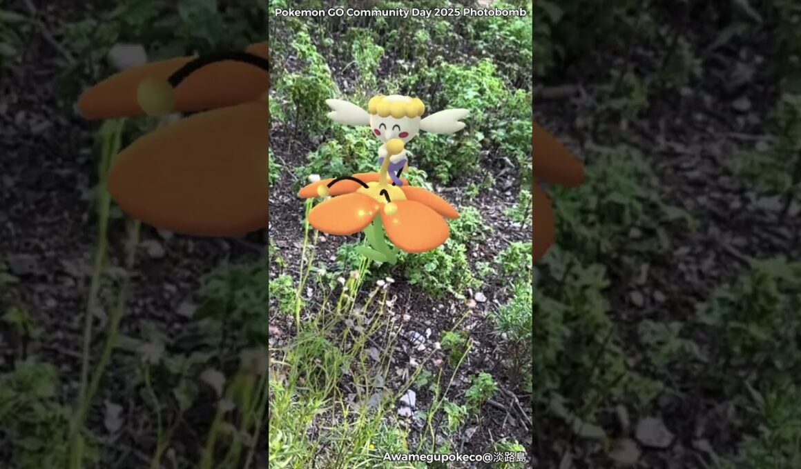 フラベベ｜Flabebe｜ShinyPokémon【ポケモンGO】PoKeMoN GO AR｜AR動画｜GOsnapshot｜gophotobomb