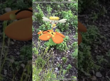 フラベベ｜Flabebe｜ShinyPokémon【ポケモンGO】PoKeMoN GO AR｜AR動画｜GOsnapshot｜gophotobomb