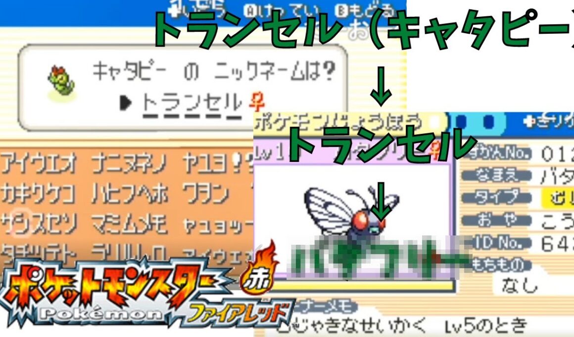 【デバッカーくろす】トランセル（NN）がバタフリーに進化すると……？