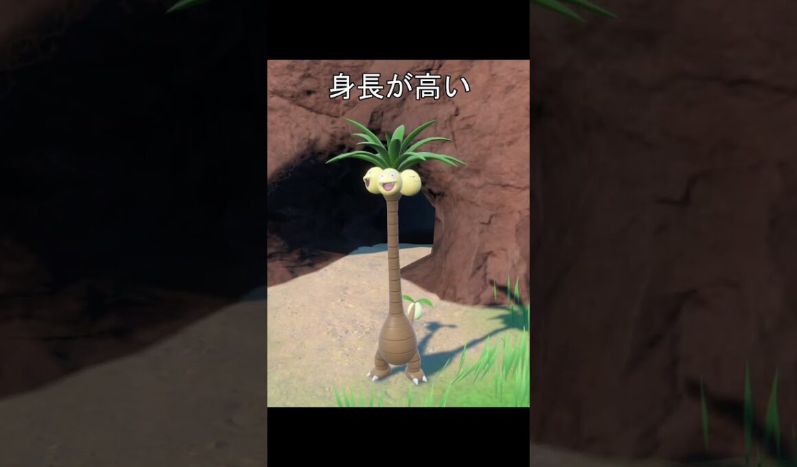 ナッシーの身長　洞窟 #ポケモン #ポケモンsv #ナッシー