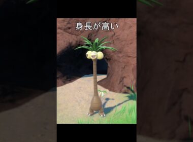 ナッシーの身長　洞窟 #ポケモン #ポケモンsv #ナッシー