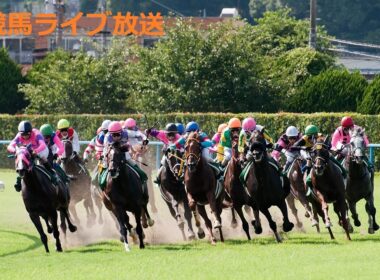【中央競馬実況】(G2 アイルランドトロフィーの予想)