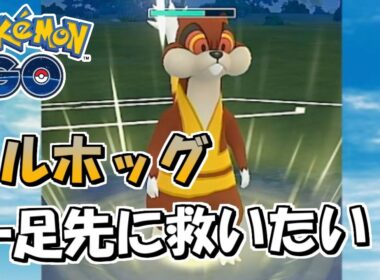 【ポケモンGO】レジェンズZ-A発売直前 一足先にミルホッグを救いたい！