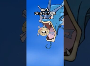 ポケモンの雑学3選Part381 #なぞはな #ポケモン #ポケモンカード #ポケモンオリジナルアニメ #ポケポケ #shorts #サイホーン #ヒンバス #マグマッグ