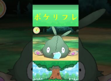 ヤブクロン*ポケモン ポケリフレ ポケパルレ #ポケモン #Pokemon  #3DS #nintendoswitch #ポケモンsv #ポケモン #キャンプ #サンドイッチ #ピクニック