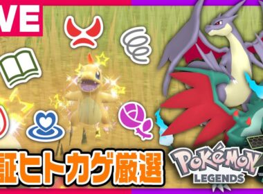 ZAに向けて色証ヒトカゲ厳選配信！【ポケモンSV】