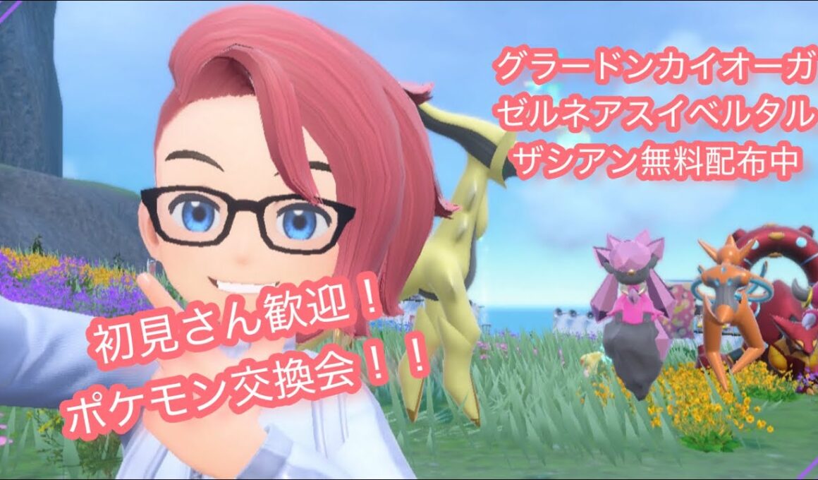 通常グラードンカイオーガゼルネアスイベルタルザシアン無料配布！ポケモンsv交換会＆バトル会＆ブルレク＆ダイアド会