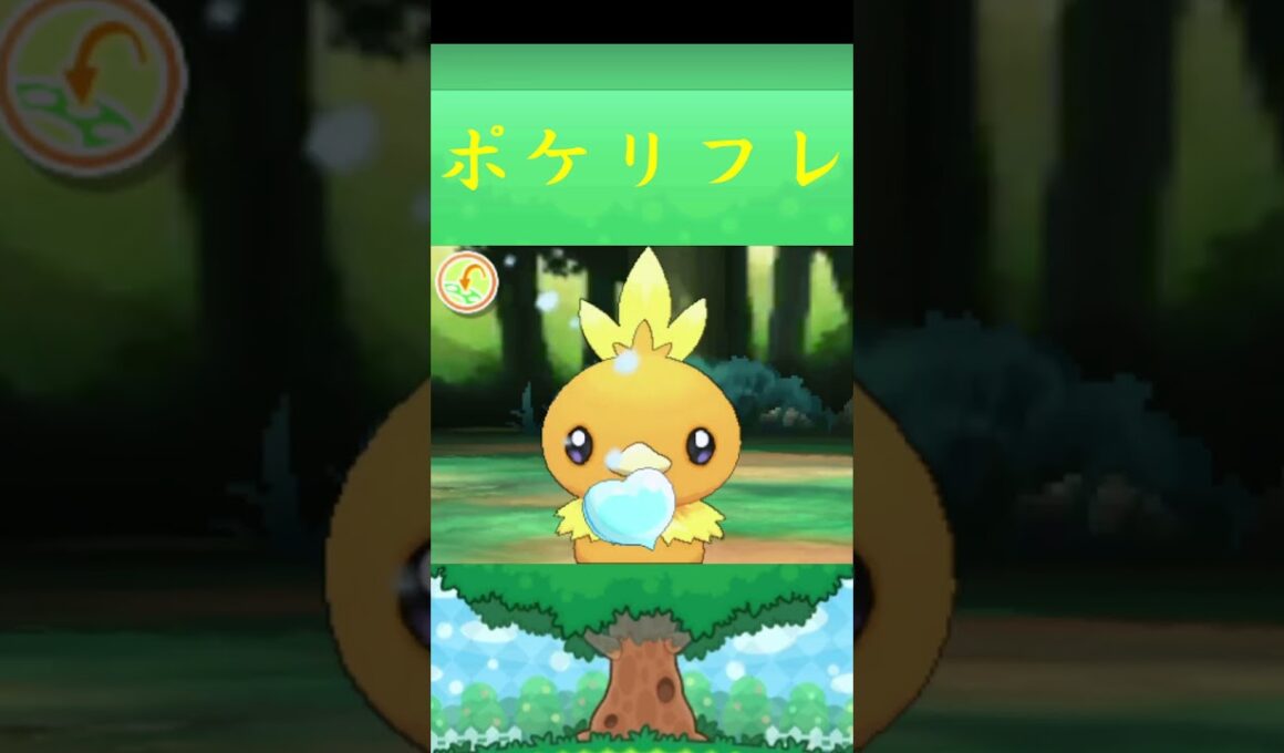 アチャモ*ポケモン ポケリフレ ポケパルレ #ポケモン #Pokemon  #3DS #nintendoswitch #ポケモンsv #ポケモン #キャンプ #サンドイッチ #ピクニック