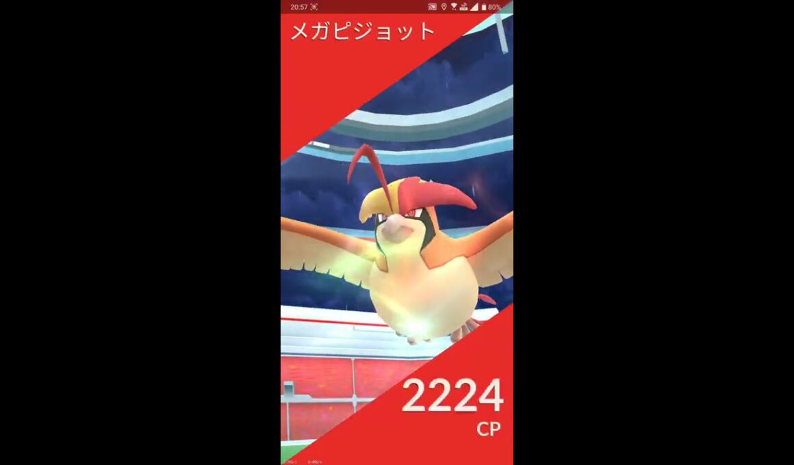 【ポケGO 2020】565：2人レイド「メガピジョット(はがねのつばさ・ブレイブバード)」[04:31]天気ブースト有り