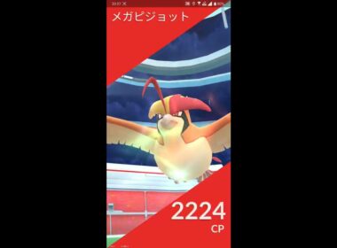 【ポケGO 2020】565：2人レイド「メガピジョット(はがねのつばさ・ブレイブバード)」[04:31]天気ブースト有り