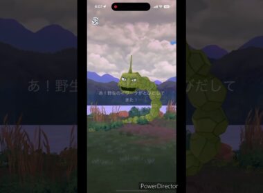 イワーク色違い✨ #pokemon #ポケモンgo #ポケモン