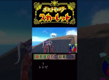 次の旅に行く前に #ポケモン #ポケモンsv #メグロコ #旅 #色違い