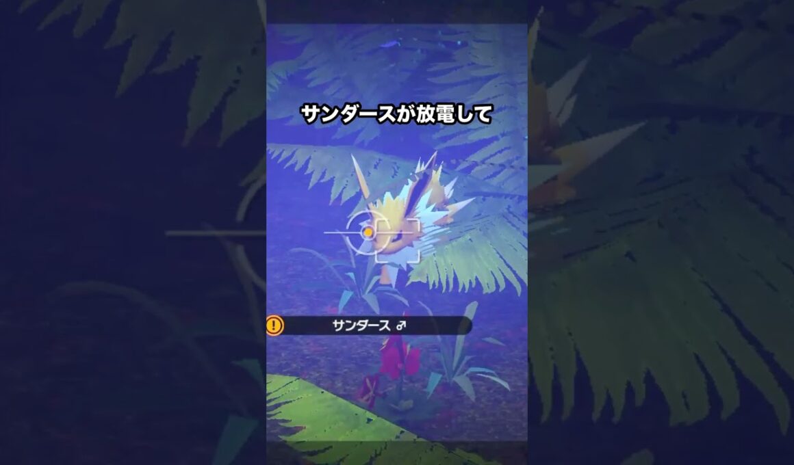 サンダースの電気を盗むバチュル #ポケモン #newポケモンスナップ