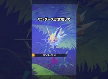サンダースの電気を盗むバチュル #ポケモン #newポケモンスナップ