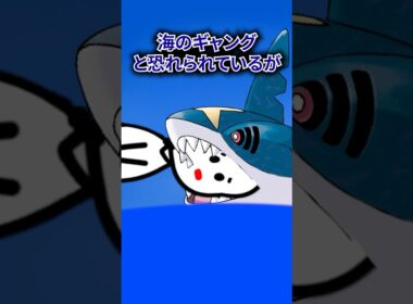 ポケモンの雑学3選Part386 #なぞはな #ポケモン #ポケモンカード #ポケモンオリジナルアニメ #ポケポケ #shorts #イダイナキバ #サメハダー #オムナイト