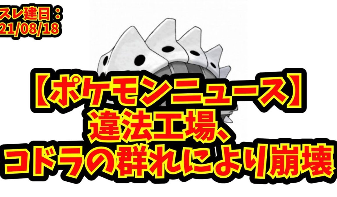 【あにまん】【ポケモンニュース】違法工場、コドラの群れにより崩壊【ポケモンニュース】【ポケモン反応集】