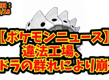 【あにまん】【ポケモンニュース】違法工場、コドラの群れにより崩壊【ポケモンニュース】【ポケモン反応集】