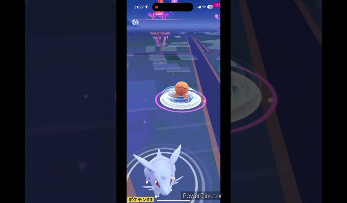 ミニナックラー #ポケモンgo #pokemon #ポケgo