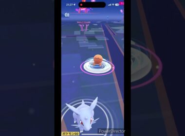 ミニナックラー #ポケモンgo #pokemon #ポケgo