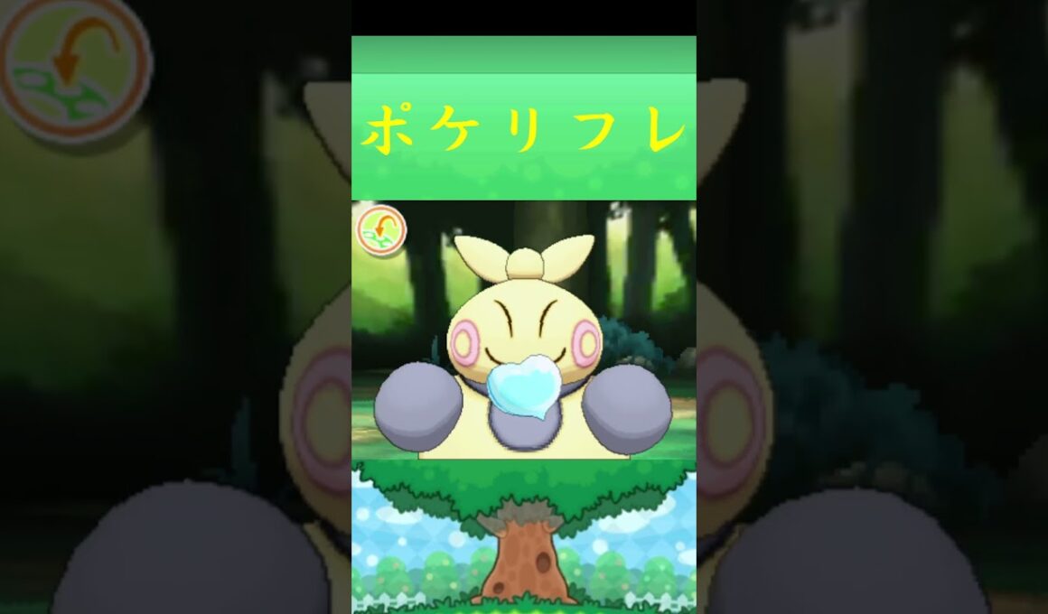 マクノシタ*ポケモン ポケリフレ ポケパルレ #ポケモン #Pokemon  #3DS #nintendoswitch #ポケモンsv #ポケモン #キャンプ #サンドイッチ #ピクニック
