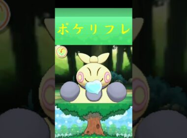 マクノシタ*ポケモン ポケリフレ ポケパルレ #ポケモン #Pokemon  #3DS #nintendoswitch #ポケモンsv #ポケモン #キャンプ #サンドイッチ #ピクニック