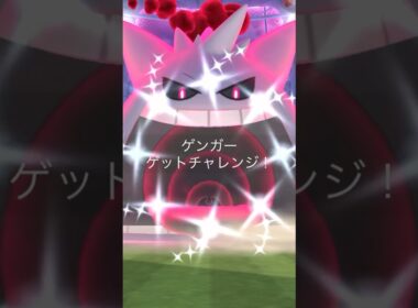 色違いキョダイゲンガーが絶対に欲しい👻👻👻【ポケモンGO】　#色違いゲンガー　#キョダイマックスゲンガー　#ポケモンGO