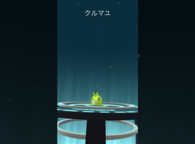 【ポケモンGOな日常】コミュニティデイ：クルミル【ポケモンGO】