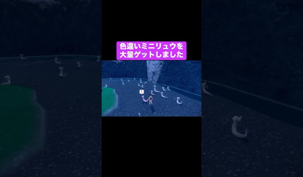 ZAに向けて色違いミニリュウ沢山捕まえてみた【ポケモンSV】