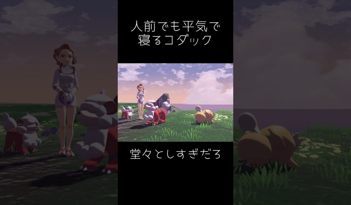 人前でも平然と寝るコダック【ポケモンレジェンズアルセウス】