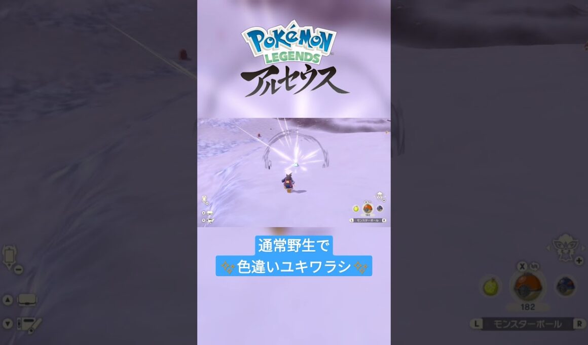 【色違い】Pokémon LEGENDS アルセウス『ユキワラシ』通常野生にて色違い✨ #shorts